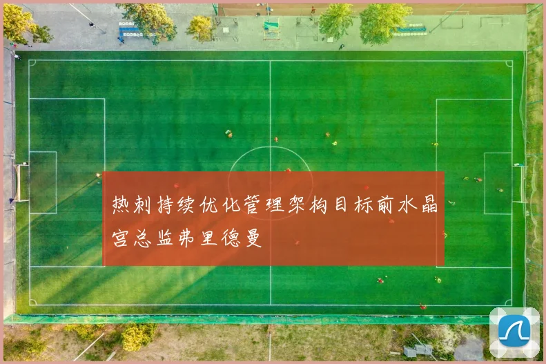 热刺持续优化管理架构目标前水晶宫总监弗里德曼