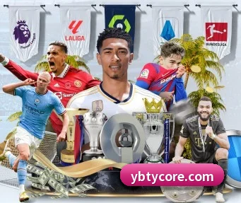 YB体育 APP